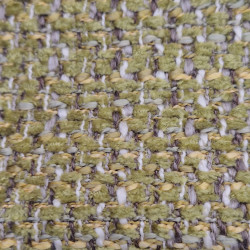 Čalounická látka Samoa Arnica