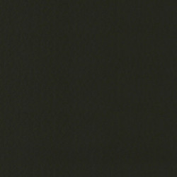 Látka Abitex Ganesha (col. 411)