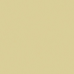 Látka Abitex Inca (col. 03)