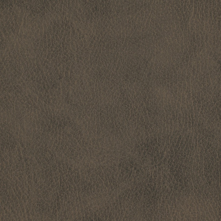 Látka Abitex Inca plus (col. 608)