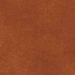 Látka Abitex Smart Skiny (col. 301)