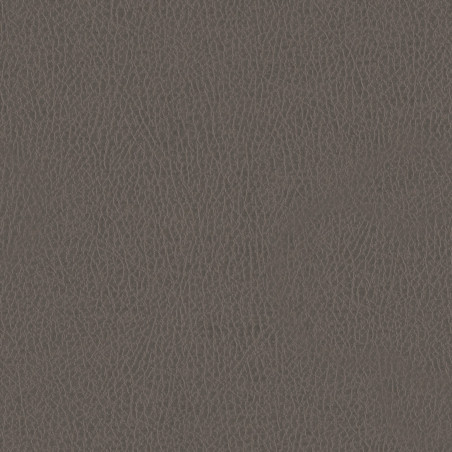 Látka Abitex Teraskin dis. Plus (col. 201)