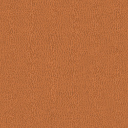 Látka Abitex Teraskin dis. Plus (col. 304)