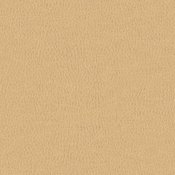 Látka Abitex Teraskin dis. Plus (col. 401)