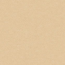 Látka Abitex Teraskin dis. Plus (col. 404)