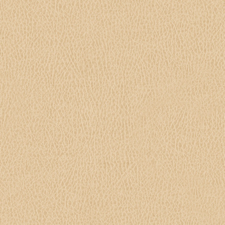 Látka Abitex Teraskin dis. Plus (col. 404)