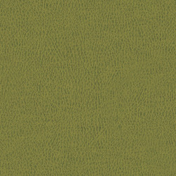 Látka Abitex Teraskin dis. Plus (col. 800)