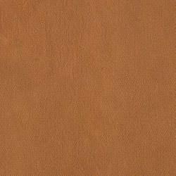 Sametová látka Abitex Aida (col. 402)