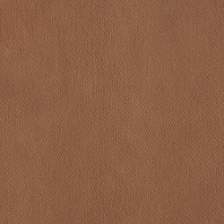 Sametová látka Abitex Aida (col. 403)