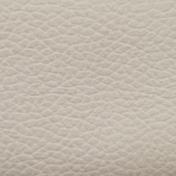 Čalounickákoženka Samoa Nevada