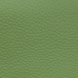 Čalounickákoženka Samoa Nevada