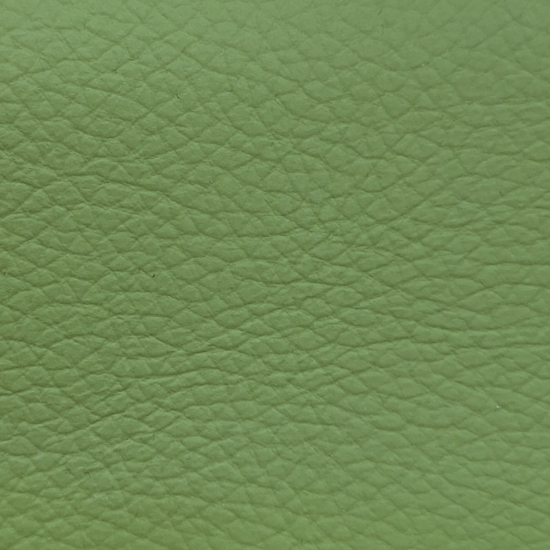 Čalounickákoženka Samoa Nevada