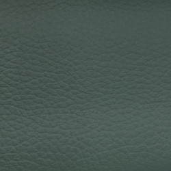 Čalounickákoženka Samoa Nevada