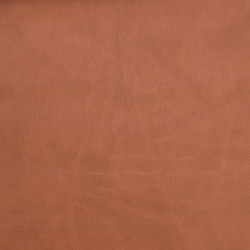 Čalounická koženka Samoa Rem