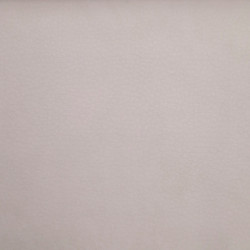 Čalounická koženka Samoa Alce