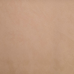 Čalounická koženka Samoa Alce