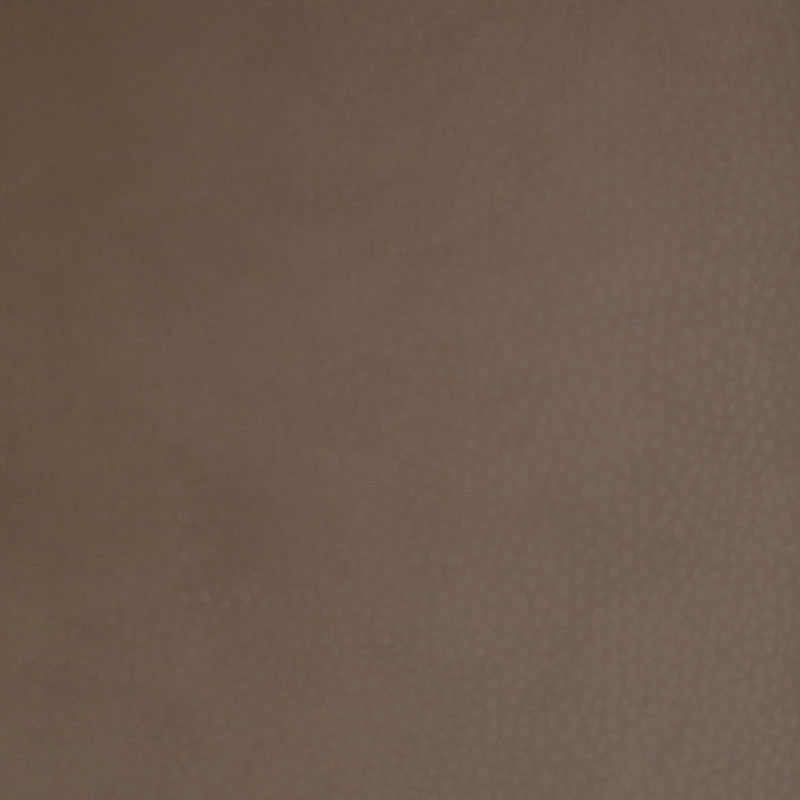 Čalounická koženka Samoa Alce