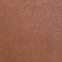 Čalounická koženka Samoa Alce